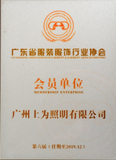 Internet Celebrity Brand Cultivation Center