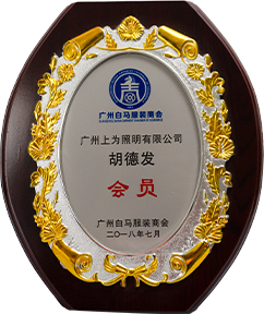 Internet Celebrity Brand Cultivation Center